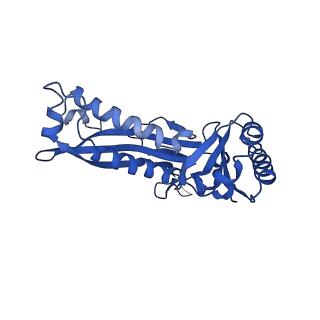 21810_6wkv_W_v1-1
Cryo-EM structure of engineered variant of the Encapsulin from Thermotoga maritima (TmE)