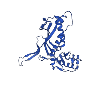 21810_6wkv_X_v1-1
Cryo-EM structure of engineered variant of the Encapsulin from Thermotoga maritima (TmE)