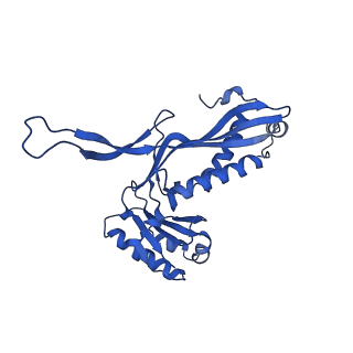 21810_6wkv_Y_v1-0
Cryo-EM structure of engineered variant of the Encapsulin from Thermotoga maritima (TmE)