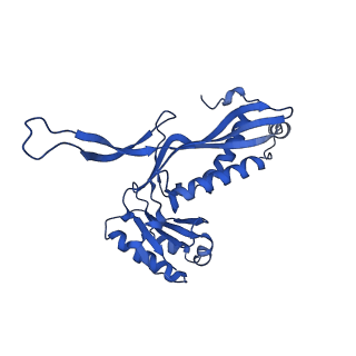 21810_6wkv_Y_v1-1
Cryo-EM structure of engineered variant of the Encapsulin from Thermotoga maritima (TmE)