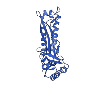 21810_6wkv_Z_v1-0
Cryo-EM structure of engineered variant of the Encapsulin from Thermotoga maritima (TmE)