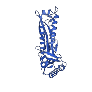 21810_6wkv_Z_v1-1
Cryo-EM structure of engineered variant of the Encapsulin from Thermotoga maritima (TmE)