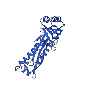 21810_6wkv_a_v1-0
Cryo-EM structure of engineered variant of the Encapsulin from Thermotoga maritima (TmE)