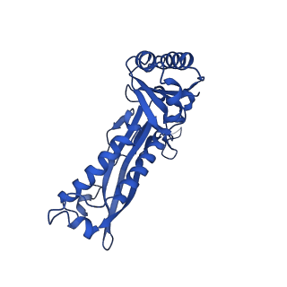 21810_6wkv_a_v1-1
Cryo-EM structure of engineered variant of the Encapsulin from Thermotoga maritima (TmE)