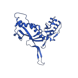 21810_6wkv_b_v1-0
Cryo-EM structure of engineered variant of the Encapsulin from Thermotoga maritima (TmE)