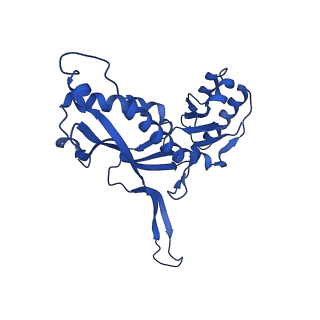 21810_6wkv_b_v1-1
Cryo-EM structure of engineered variant of the Encapsulin from Thermotoga maritima (TmE)