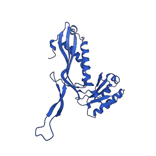 21810_6wkv_c_v1-0
Cryo-EM structure of engineered variant of the Encapsulin from Thermotoga maritima (TmE)