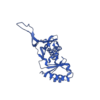 21810_6wkv_d_v1-0
Cryo-EM structure of engineered variant of the Encapsulin from Thermotoga maritima (TmE)
