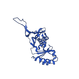 21810_6wkv_d_v1-1
Cryo-EM structure of engineered variant of the Encapsulin from Thermotoga maritima (TmE)