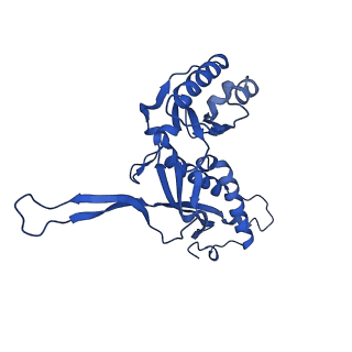 21810_6wkv_e_v1-0
Cryo-EM structure of engineered variant of the Encapsulin from Thermotoga maritima (TmE)