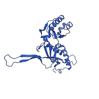 21810_6wkv_e_v1-1
Cryo-EM structure of engineered variant of the Encapsulin from Thermotoga maritima (TmE)