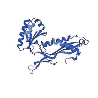 21810_6wkv_f_v1-0
Cryo-EM structure of engineered variant of the Encapsulin from Thermotoga maritima (TmE)