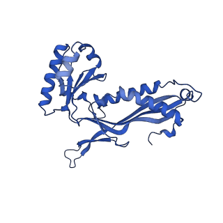 21810_6wkv_f_v1-1
Cryo-EM structure of engineered variant of the Encapsulin from Thermotoga maritima (TmE)