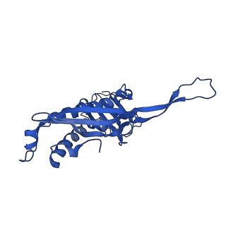 21810_6wkv_h_v1-0
Cryo-EM structure of engineered variant of the Encapsulin from Thermotoga maritima (TmE)