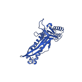 21810_6wkv_i_v1-0
Cryo-EM structure of engineered variant of the Encapsulin from Thermotoga maritima (TmE)