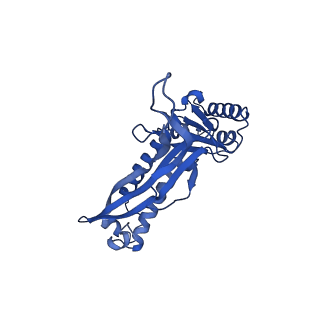 21810_6wkv_i_v1-1
Cryo-EM structure of engineered variant of the Encapsulin from Thermotoga maritima (TmE)