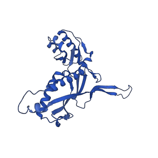 21810_6wkv_j_v1-0
Cryo-EM structure of engineered variant of the Encapsulin from Thermotoga maritima (TmE)