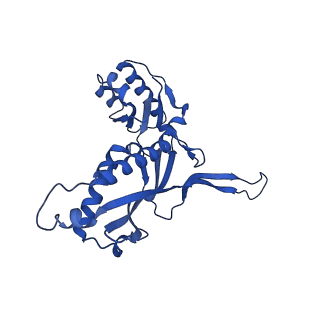 21810_6wkv_j_v1-1
Cryo-EM structure of engineered variant of the Encapsulin from Thermotoga maritima (TmE)