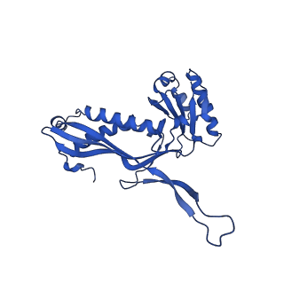 21810_6wkv_k_v1-0
Cryo-EM structure of engineered variant of the Encapsulin from Thermotoga maritima (TmE)