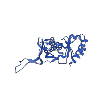 21810_6wkv_l_v1-0
Cryo-EM structure of engineered variant of the Encapsulin from Thermotoga maritima (TmE)