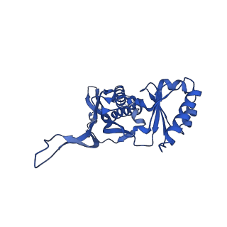 21810_6wkv_l_v1-1
Cryo-EM structure of engineered variant of the Encapsulin from Thermotoga maritima (TmE)