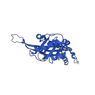 21810_6wkv_m_v1-0
Cryo-EM structure of engineered variant of the Encapsulin from Thermotoga maritima (TmE)