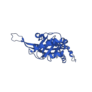 21810_6wkv_m_v1-1
Cryo-EM structure of engineered variant of the Encapsulin from Thermotoga maritima (TmE)