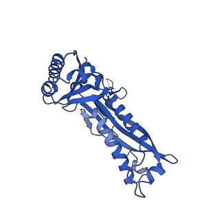 21810_6wkv_n_v1-0
Cryo-EM structure of engineered variant of the Encapsulin from Thermotoga maritima (TmE)
