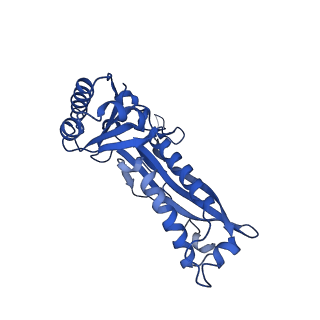 21810_6wkv_n_v1-1
Cryo-EM structure of engineered variant of the Encapsulin from Thermotoga maritima (TmE)