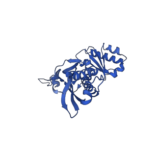 21810_6wkv_o_v1-0
Cryo-EM structure of engineered variant of the Encapsulin from Thermotoga maritima (TmE)