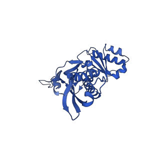 21810_6wkv_o_v1-1
Cryo-EM structure of engineered variant of the Encapsulin from Thermotoga maritima (TmE)