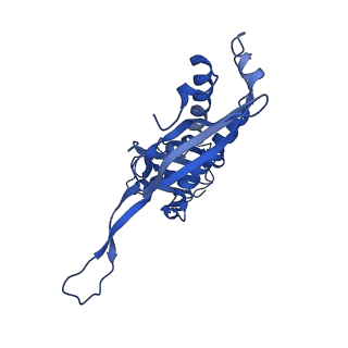 21810_6wkv_p_v1-0
Cryo-EM structure of engineered variant of the Encapsulin from Thermotoga maritima (TmE)