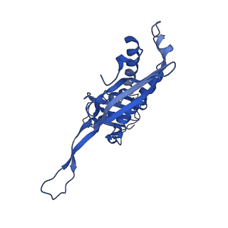21810_6wkv_p_v1-1
Cryo-EM structure of engineered variant of the Encapsulin from Thermotoga maritima (TmE)