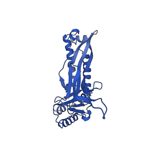 21810_6wkv_q_v1-1
Cryo-EM structure of engineered variant of the Encapsulin from Thermotoga maritima (TmE)