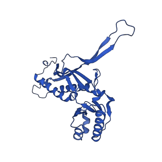 21810_6wkv_r_v1-0
Cryo-EM structure of engineered variant of the Encapsulin from Thermotoga maritima (TmE)