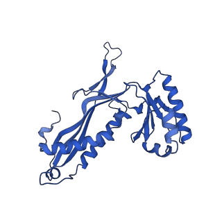 21810_6wkv_s_v1-0
Cryo-EM structure of engineered variant of the Encapsulin from Thermotoga maritima (TmE)