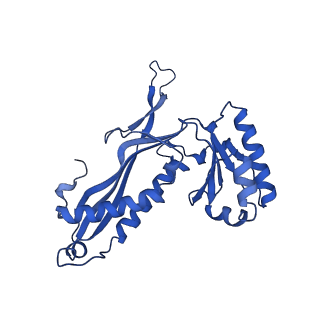 21810_6wkv_s_v1-1
Cryo-EM structure of engineered variant of the Encapsulin from Thermotoga maritima (TmE)