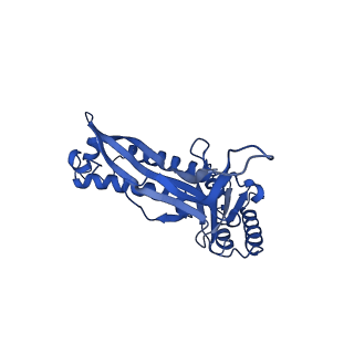 21810_6wkv_t_v1-1
Cryo-EM structure of engineered variant of the Encapsulin from Thermotoga maritima (TmE)