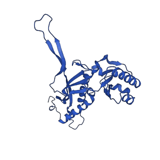 21810_6wkv_u_v1-0
Cryo-EM structure of engineered variant of the Encapsulin from Thermotoga maritima (TmE)