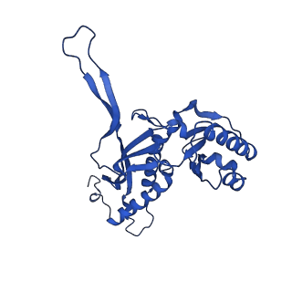 21810_6wkv_u_v1-1
Cryo-EM structure of engineered variant of the Encapsulin from Thermotoga maritima (TmE)