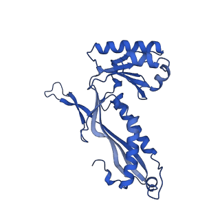 21810_6wkv_v_v1-0
Cryo-EM structure of engineered variant of the Encapsulin from Thermotoga maritima (TmE)
