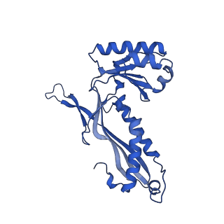 21810_6wkv_v_v1-1
Cryo-EM structure of engineered variant of the Encapsulin from Thermotoga maritima (TmE)