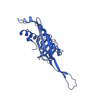 21810_6wkv_x_v1-0
Cryo-EM structure of engineered variant of the Encapsulin from Thermotoga maritima (TmE)