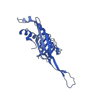 21810_6wkv_x_v1-1
Cryo-EM structure of engineered variant of the Encapsulin from Thermotoga maritima (TmE)