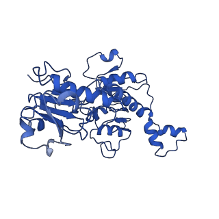 21811_6wkw_A_v1-2
EM structure of CtBP2 with a minimal dehydrogenase domain of CtBP2