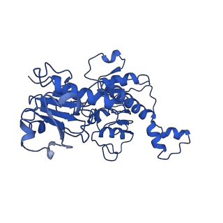 21811_6wkw_A_v1-3
EM structure of CtBP2 with a minimal dehydrogenase domain of CtBP2