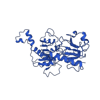 21811_6wkw_C_v1-2
EM structure of CtBP2 with a minimal dehydrogenase domain of CtBP2