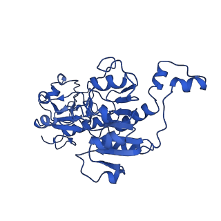 21811_6wkw_D_v1-3
EM structure of CtBP2 with a minimal dehydrogenase domain of CtBP2