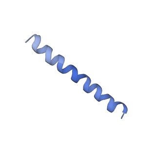 21813_6wky_A_v1-1
Cryo-EM of Form 1 related peptide filament, 29-24-3