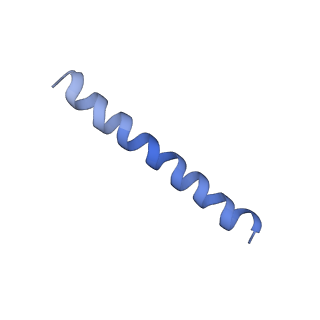 21813_6wky_A_v1-2
Cryo-EM of Form 1 related peptide filament, 29-24-3